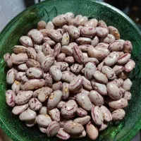 لوبیا چیتی ۳۰۰ تومن