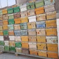 کندو صندوق خالی زنبود