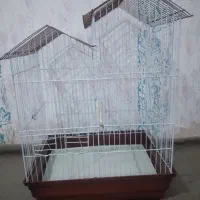 قفس|لوازم جانبی حیوانات|زابل, |دیوار