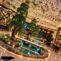 موسیقی زنده امشب