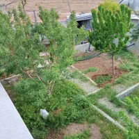 فروش-یک-قطعه-باغ-با-درختان-میوه