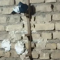 سینه سیاه گلدار