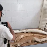 تیزر تبلیغاتی / فیلم صنعتی / هنری /موشن گرافی|خدمات پذیرایی، مراسم|تبریز, |دیوار