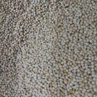فروش دانه غلات وملزومات پرندگان خانگی|لوازم جانبی حیوانات|اصفهان, عاشق‌آباد|دیوار