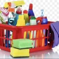 انجام امورات منزل