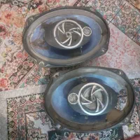 باند پایونر