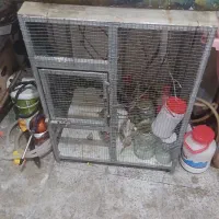 قفس پرنده