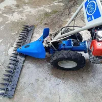 خدمات علف چینی