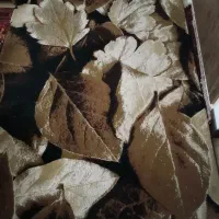 دوعدد گلیم فرش بزرگمهر|گلیم، جاجیم، گبه|ملایر, |دیوار