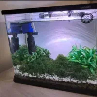 آکواریوم شرکتی