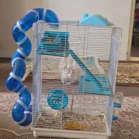 همستر با قفس کامل
