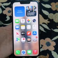 iphon 13 poro. 100%|موبایل|شیراز, جوادیه|دیوار