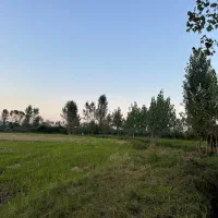 فروش3500متر زمین مناسب کاشت کیوی