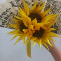 گل ربانی|گل و گیاه طبیعی|نیشابور, مازول|دیوار