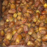 خرما زاهدی