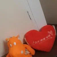 عروسک|اسباببازی|ری, فیروزآبادی|دیوار