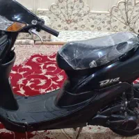 پاکشتی دوزمانه