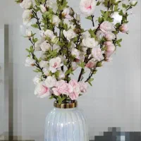 گل کنار سالنی