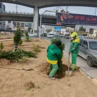 انجام امور باعبانی و فضای سبز|خدمات باغبانی و درختکاری|شیراز, شهرک فرزانگان|دیوار