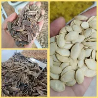 خشکبار و آجیل شب یلدا|خوردنی و آشامیدنی|سمنان, |دیوار