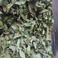 شیرین بیان
