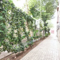 هزار دستگاه نازی آباد .80 م|فروش آپارتمان|تهران, نازی‌آباد|دیوار