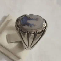 شجر|کلکسیون اشیاء عتیقه|قزوین, |دیوار