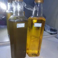 رزماری و ارگان
