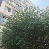کاشانی-بلوارتعاون-الاله-شرقی73متر2خواب
