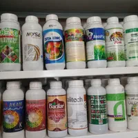 باغبانی سمپاشی گلها سم پاشی درخت باغچه درسراسرمشهد|خدمات باغبانی و درختکاری|مشهد, وکیل‌آباد|دیوار