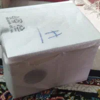 لانه پرنده چوبی