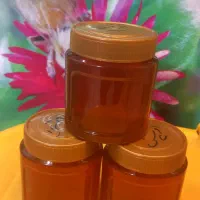 عسل طبیعی تضمینی|خوردنی و آشامیدنی|قم, چهار مردان|دیوار