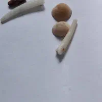 مهره پاکستانی