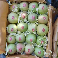 سیب کوهستانی درجه یک|عمده‌فروشی|رباط‌کریم, رباط‌کریم|دیوار