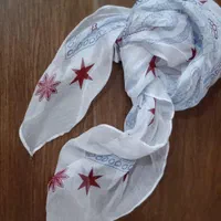 اسکارف ای ام آلمان