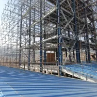 داربست زنده دل