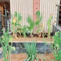 انجام کلیه کارهای باغبانی وباغچه|خدمات باغبانی و درختکاری|اهواز, بهارستان|دیوار