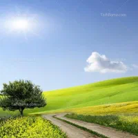 زمین. باغ