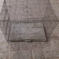 قفس پرنده