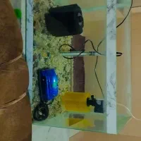 آکوریواریوم با تمام وسایل و ماهی گوشت خوار