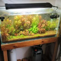 فروش فوری آکواریوم پلنت به همراه لوازم و کلی گیاه