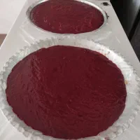لواشک آلوسیاه درجه یک|خوردنی و آشامیدنی|شیراز, ریشمک|دیوار