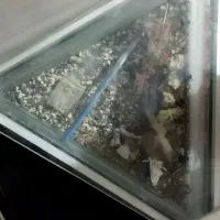 فروش آکواریوم خاص و منحصر به فرد