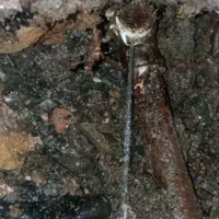 نشت یابی با دستگاه تصویری ۱۰۰٪نقطه ای و تضمینی|خدمات پیشه و مهارت|شهرکرد, |دیوار