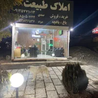 مغازه-اجاره-ای