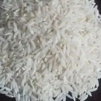 برنج هاشمی گیلان