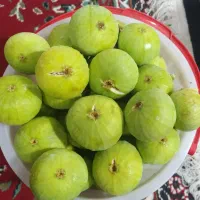 انجیر سفید درجه یک تازه چین همه روزه
