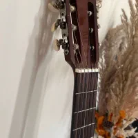 گیتار پیکاپدار آریا|گیتار، بیس، امپلیفایر|تهران, گیشا|دیوار