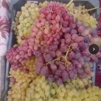 انگور سالم  بدون سفیدک