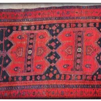 قالی کوردی و دستباف قدیمی|فرش|سنندج, |دیوار